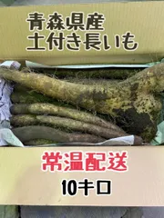 青森県産！土付き長いも　10キロのサムネイル
