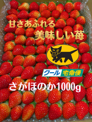 irie農園の美味しい冷凍苺　【中部、北陸、信越、関東、東北、北海道】