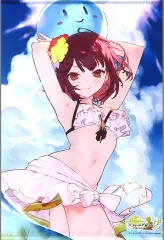 2025年最新】ソフィーのアトリエ タペストリーの人気アイテム
