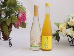幻の露茜‼️超大玉5L.4Lサイズ 2kg ルビー色の梅酒・梅シロップ - メルカリ