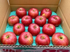 信州産「赤田の家」シナノスイート14個入り5k箱