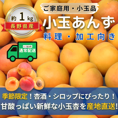 小玉あんず～杏シロップ・杏酒用～【内容量】約1kg【配送方法】クール配送【サイズ】L以下【品目】杏（あんず）【品種】当店お任せ【産地】長野県【規格】ご家庭用A品B品混合【詰め方】バラ詰め【配送までの日数】1～4日