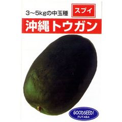 ＜野菜の種＞沖縄とうがん　冬瓜　１０粒　琉球トウガン　スブイ、シブイ