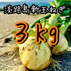 紅芯大根 3kg 静岡県産 即購入OK 時間指定可能 - メルカリ