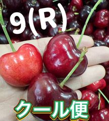 9Rアメリカンチェリー4kg