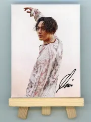 【中古】キャンバスボード・キャンバスアート 登坂広臣 フォトキャンバスフレーム 「三代目 J SOUL BROTHERS LIVE TOUR 2021 “THIS IS JSB”」 EXILE TRIBE STATION限定