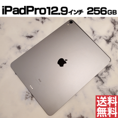 [No.M260] iPad Pro12.9インチ 256GB【バッテリー91％】
