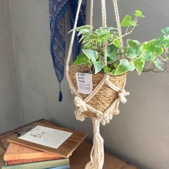 ハンギングポット プラントハンガー 観葉植物 吊るす 北欧 インドアグリーン