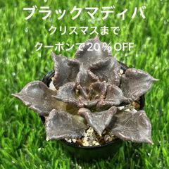 jacklove♡様専用ページ