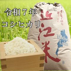 まっぴー様専用！魚沼産こしひかり 10キロ - メルカリ