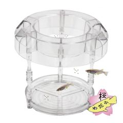 メダカ食堂 （クリア）
