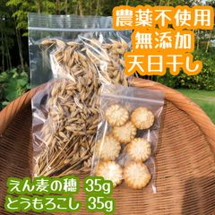 農薬不使用 小動物 無添加 おやつ 乾燥野菜 とうもろこし コーン えん麦の穂 オーツ麦 ハムスター うさぎ モルモット テグー