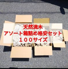 【送料無料】国産 南信州産 天然流木●おまかせ アソート箱詰め お得格安セット【１００サイズ】流木卸売 流木格安セット 流木まとめ売り 流木大量販売 川流木
