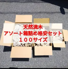【送料無料】国産 南信州産 天然流木●おまかせ アソート箱詰め お得格安セット【１００サイズ】流木卸売 流木格安セット 流木まとめ売り 流木大量販売 川流木