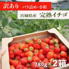 【訳あり】ボリュームたっぷり！宮城県産 完熟イチゴ(小粒) 780ｇ×2箱