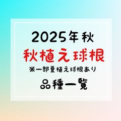 【2025年】秋植え（※一部夏植え）球根一覧
