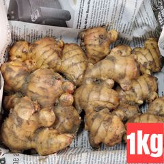 囲い生姜 土付き 大生姜 土佐一1kg