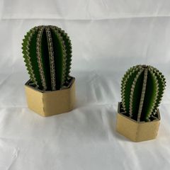 A4サイズ　ダンボール　　「サボテン」