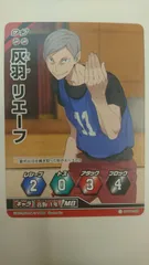 ハイキュー!! ハイキュー!! 音駒 1年 MB 灰羽リエーフ