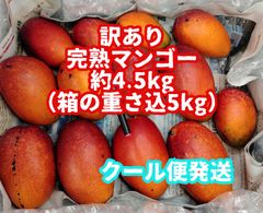 ミニミニマンゴー　黄色赤色半々 みやざき完熟ミニミニマンゴー | 美味食材を買う | dancyu