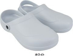 Item thumbnail for item 91764151-a789-4dcd-bb60-cfdf4c034e10