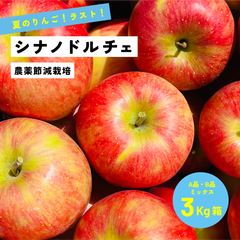 9月16日から9月31日まで発送 指定日不可 「ドルチェ3キロ箱A品B品」農林水産大臣賞 長野県産 安曇野 信州産 産地直送