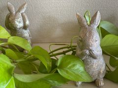 うさぎ（もぐもぐ）