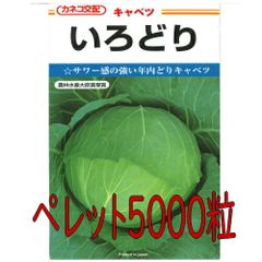 カネコ種苗　いろどりキャベツ　ペレット５０００粒