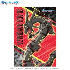 2026年最新】RAYQUAZAの人気アイテム - メルカリ