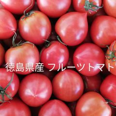 徳島県産フルーツトマト 小粒800ｇ入