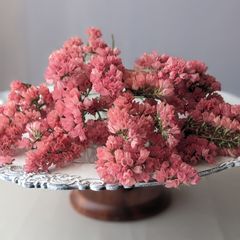 ハイブリッドスターチスドライフラワーチス濃いピンク 8本⇒6g〈No.35〉 ドライ HBチース 濃いピンク | A /garden