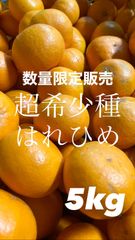 はれひめ 5kg 【高級品種】