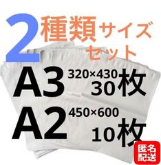 【匿名配送】LDPE宅配袋 ビニール袋 テープ付きA3 30/A2 10 透けない 梱包 資材 セット