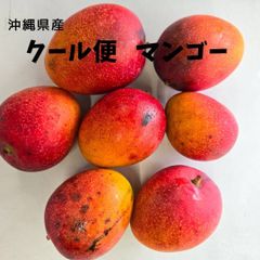 数量限定！クール便　沖縄産ミニマンゴー(大きめ) 1.3キロ　個数お任せ