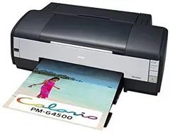 Amazon.co.jp: EPSON Colorio インクジェットプリンター PM