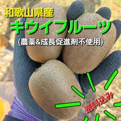 美の健康果実 和歌山県産 キウイフルーツ