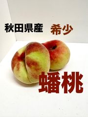 蟠桃　秋田県産　希少品種桃　クール発送