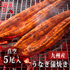 【5尾入】こだわりの九州産うなぎ蒲焼き - ギフトにも最適　1尾約125g
