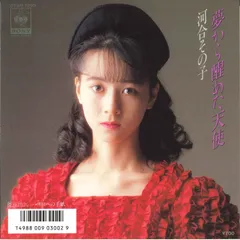 at knight2014様✅希少 激レア　河合その子　冊子2点 2025年最新】河合その子 その子の人気アイテム - メルカリ