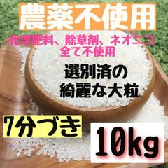 農薬不使用  ヒノヒカリ  7分づき  10kg 白米