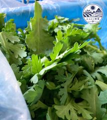 野菜　生で食べられる春菊　バラ詰め　60サイズ