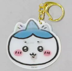 2025年最新】お出かけ楽しみ！なレンチキュラーアクリルキーホルダーの