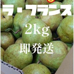 ラ・フランス　2kg 減農薬栽培　洋梨　西洋梨