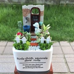 ♡そのまま飾れる♡クリスマスの多肉植物寄せ植え