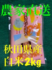 令和4年産米  あきたこまち  白米 2kg  精米後出荷🌾おためしに