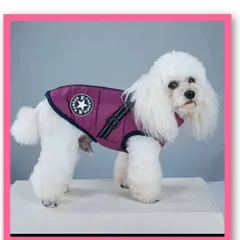 ★見逃し厳禁！★わんちゃんのお散歩用ベストダウンが入荷しました！ ハーネス付き  犬用 小型犬 ライフスタイル