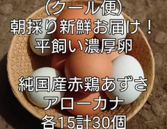 (クール便)朝採り新鮮お届け！平飼い濃厚卵　あずさ：アローカナ各15個計30個