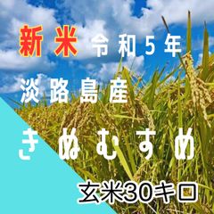 新米 令和5年産 きぬむすめ　玄米30キロ 淡路島産 産地直送