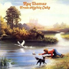 極美LP❣️UKオリジナル盤『The Stairs／Mexican R'n'B』 - メルカリ