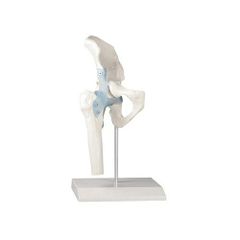 Item thumbnail for item 6fb904fd-a86e-4a37-a244-670a7032fb9b